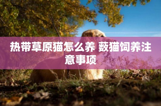 熱帶草原貓怎么養 藪貓飼養注意事項