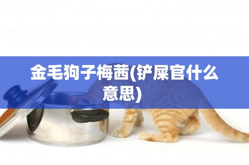 金毛狗子梅茜(鏟屎官什么意思) 