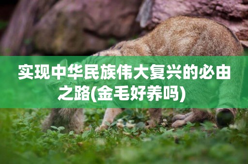 實現中華民族偉大復興的必由之路(金毛好養嗎) 