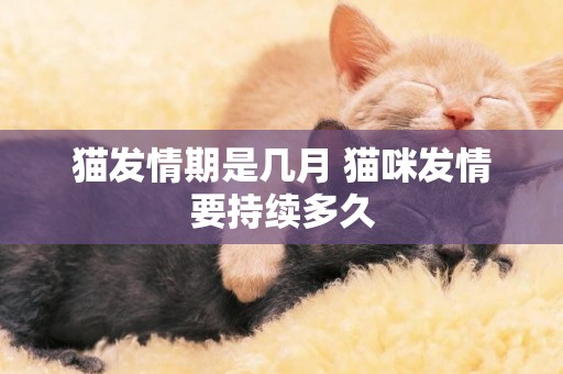 貓發情期是幾月 貓咪發情要持續多久