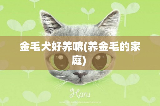 金毛犬好養嘛(養金毛的家庭) 