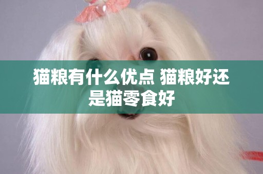 貓糧有什么優點 貓糧好還是貓零食好
