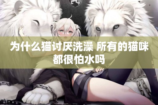 為什么貓討厭洗澡 所有的貓咪都很怕水嗎