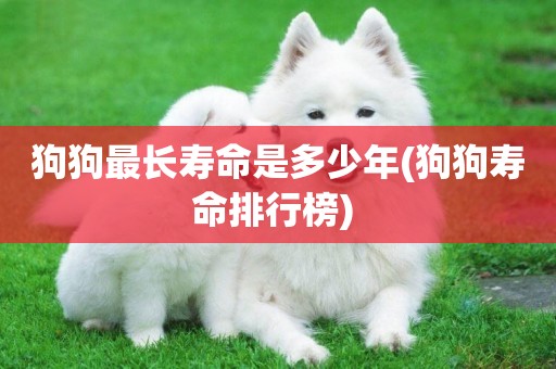 狗狗最長壽命是多少年(狗狗壽命排行榜) 
