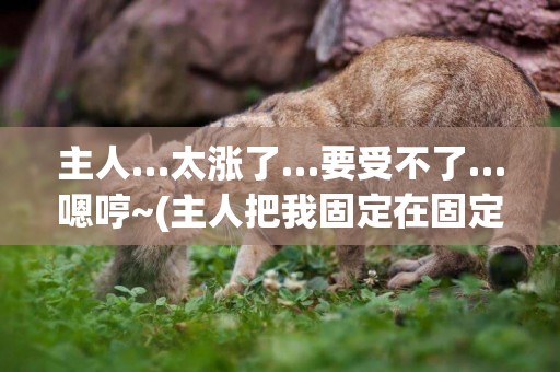 主人…太漲了…要受不了…嗯哼~(主人把我固定在固定器) 