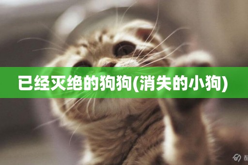 已經滅絕的狗狗(消失的小狗) 