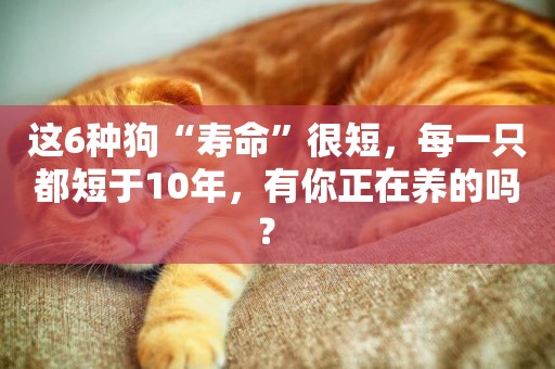 這6種狗“壽命”很短，每一只都短于10年，有你正在養的嗎？ 