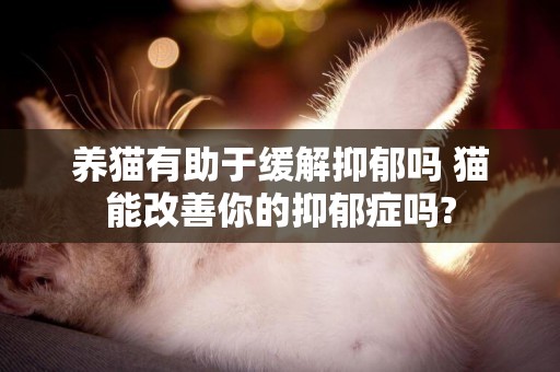 養貓有助于緩解抑郁嗎 貓能改善你的抑郁癥嗎?