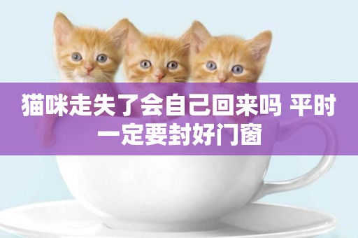 貓咪走失了會自己回來嗎 平時一定要封好門窗