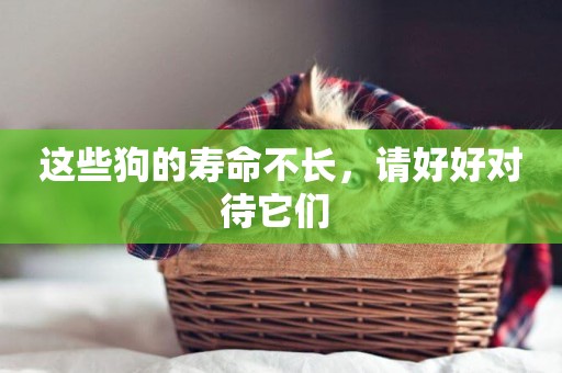 這些狗的壽命不長，請好好對待它們 