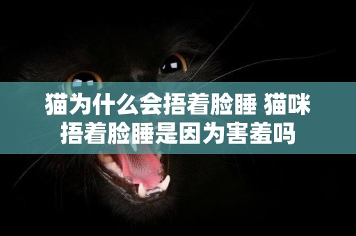 貓為什么會捂著臉睡 貓咪捂著臉睡是因為害羞嗎