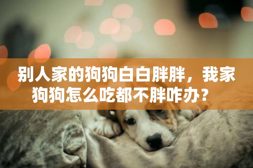 別人家的狗狗白白胖胖，我家狗狗怎么吃都不胖咋辦？ 