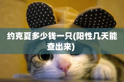 約克夏多少錢一只(陽性幾天能查出來) 