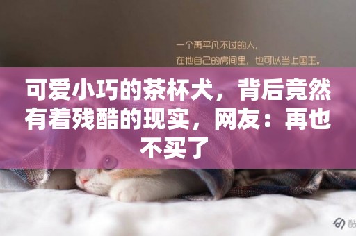 可愛小巧的茶杯犬，背后竟然有著殘酷的現實，網友：再也不買了 