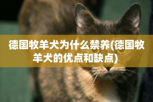 德國牧羊犬為什么禁養(德國牧羊犬的優點和缺點) 
