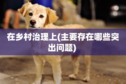 在鄉村治理上(主要存在哪些突出問題) 