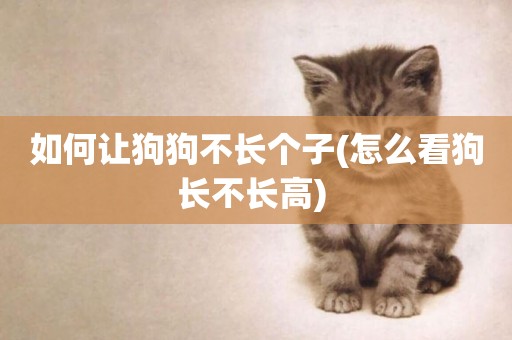 如何讓狗狗不長個子(怎么看狗長不長高) 