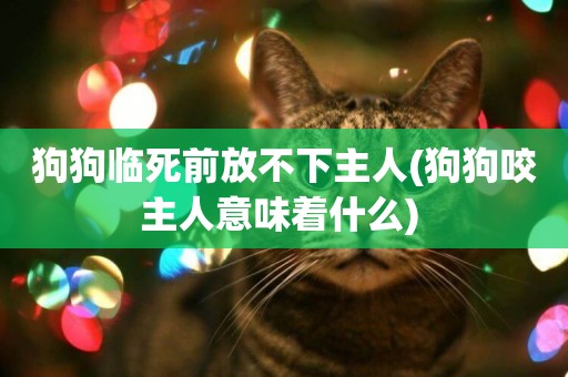 狗狗臨死前放不下主人(狗狗咬主人意味著什么) 