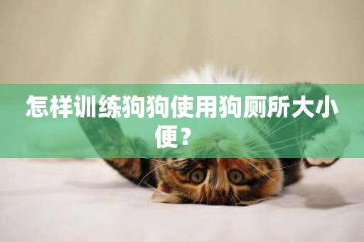 怎樣訓練狗狗使用狗廁所大小便？ 