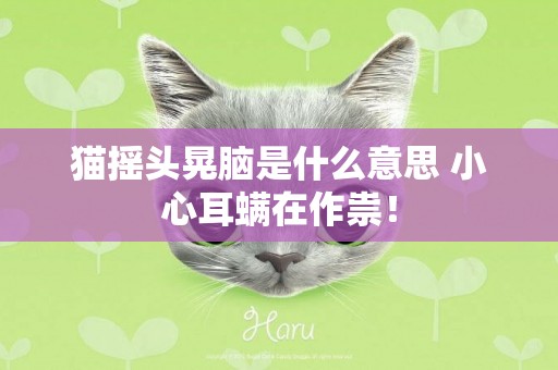 貓搖頭晃腦是什么意思 小心耳螨在作祟！