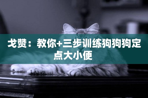 戈贊：教你+三步訓練狗狗狗定點大小便 