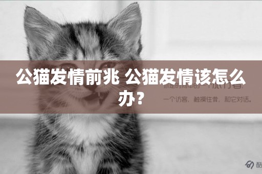 公貓發情前兆 公貓發情該怎么辦？