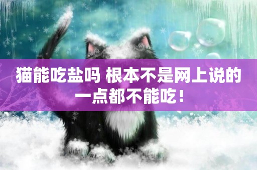 貓能吃鹽嗎 根本不是網上說的一點都不能吃！