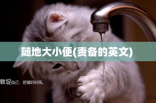 隨地大小便(責備的英文) 