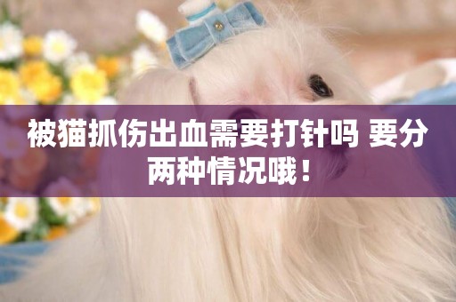 被貓抓傷出血需要打針嗎 要分兩種情況哦！