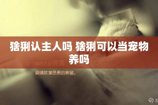 猞猁認主人嗎 猞猁可以當寵物養嗎