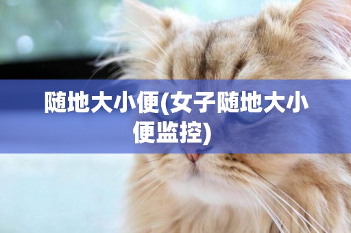隨地大小便(女子隨地大小便監控) 