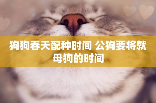 狗狗春天配種時間 公狗要將就母狗的時間