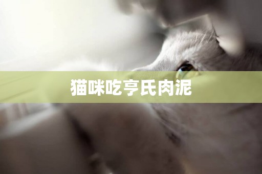 貓咪吃亨氏肉泥