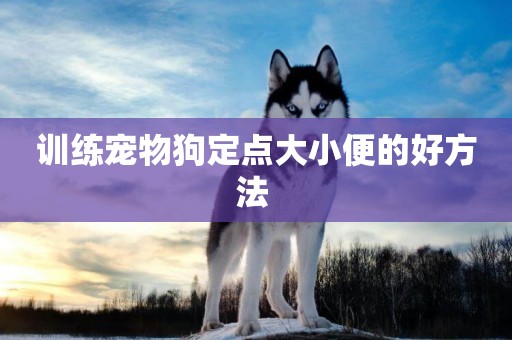 訓練寵物狗定點大小便的好方法 