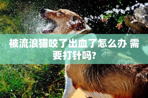 被流浪貓咬了出血了怎么辦 需要打針嗎?