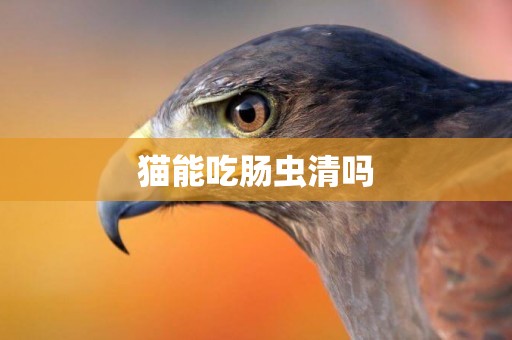 貓能吃腸蟲清嗎