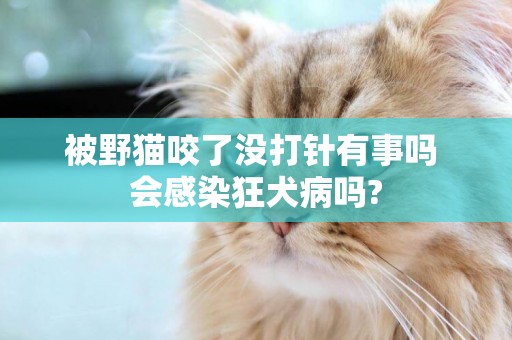被野貓咬了沒打針有事嗎 會感染狂犬病嗎?