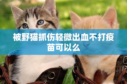 被野貓抓傷輕微出血不打疫苗可以么