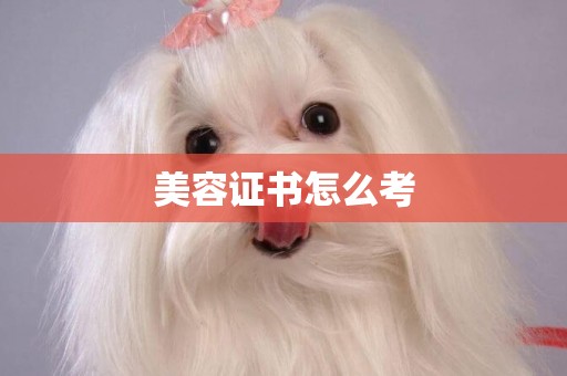 美容證書怎么考