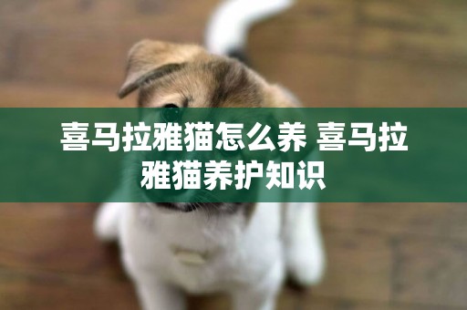 喜馬拉雅貓怎么養 喜馬拉雅貓養護知識