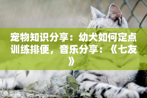 寵物知識分享：幼犬如何定點訓練排便，音樂分享：《七友》 