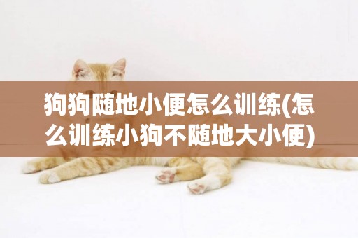 狗狗隨地小便怎么訓練(怎么訓練小狗不隨地大小便) 