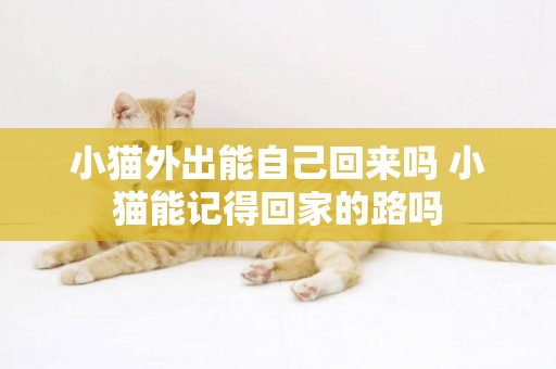 小貓外出能自己回來嗎 小貓能記得回家的路嗎