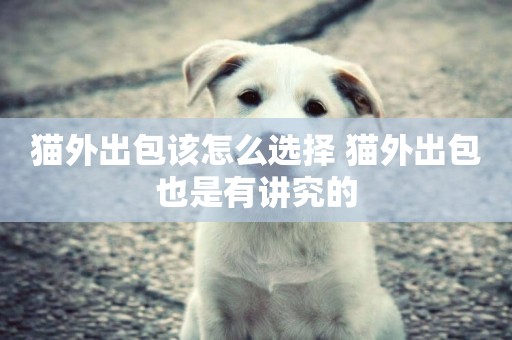 貓外出包該怎么選擇 貓外出包也是有講究的