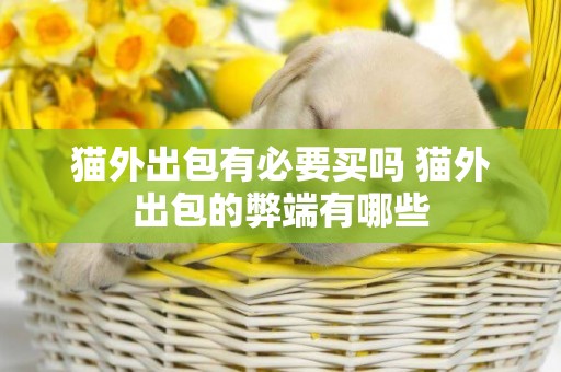 貓外出包有必要買嗎 貓外出包的弊端有哪些