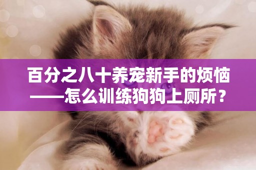 百分之八十養寵新手的煩惱——怎么訓練狗狗上廁所？ 