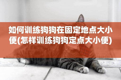 如何訓練狗狗在固定地點大小便(怎樣訓練狗狗定點大小便) 