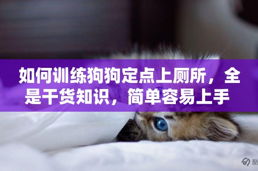 如何訓練狗狗定點上廁所，全是干貨知識，簡單容易上手 
