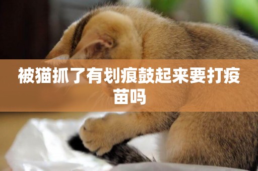 被貓抓了有劃痕鼓起來要打疫苗嗎