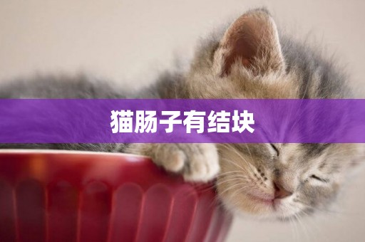 貓腸子有結塊